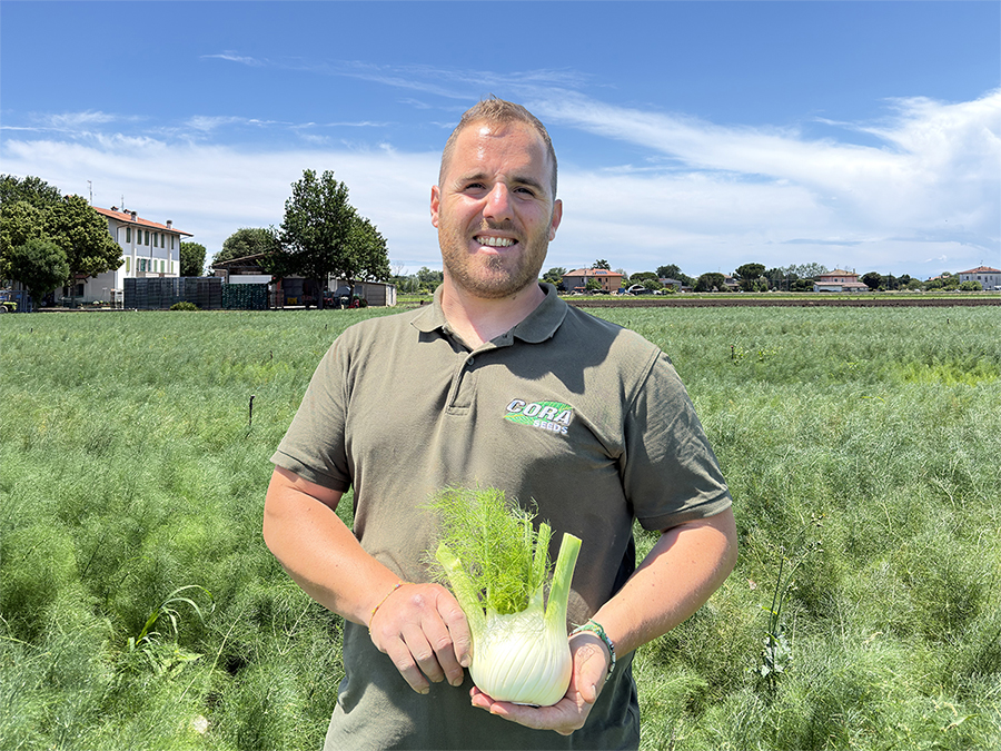 Antonio Antonacci, Cora Seeds
